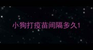 小狗打疫苗间隔多久