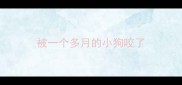 被一个多月的小狗咬了