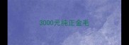 3000元纯正金毛