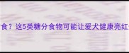 小狗能不能吃甜食这5类糖分食物可能让爱犬健康亮红灯家长必看