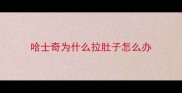 哈士奇为什么拉肚子怎么办