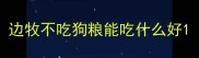 边牧不吃狗粮能吃什么好