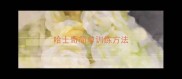 哈士奇简单训练方法