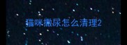 猫咪撒尿怎么清理