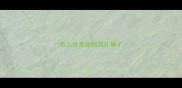 怎么给泰迪狗狗扎辫子