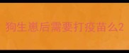 狗生崽后需要打疫苗么