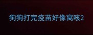 狗狗打完疫苗好像窝咳