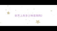 世界上有多少种宠物狗