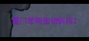 厦门思明宠物医院