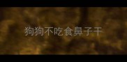 狗狗不吃食鼻子干