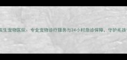 重庆许医生宠物医院专业宠物诊疗服务与24小时急诊保障守护毛孩子健康