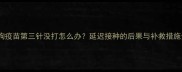 狗狗疫苗第三针没打怎么办延迟接种的后果与补救措施全
