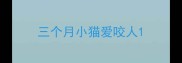 三个月小猫爱咬人