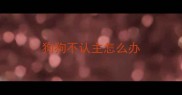狗狗不认主怎么办