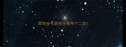 家有金毛跟哈士奇两个二货