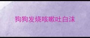 狗狗发烧咳嗽吐白沫