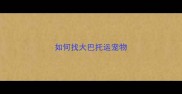 如何找大巴托运宠物