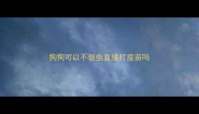 狗狗可以不驱虫直接打疫苗吗