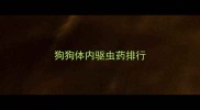 狗狗体内驱虫药排行