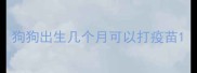 狗狗出生几个月可以打疫苗