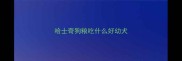 哈士奇狗粮吃什么好幼犬