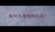 如何办理狗狗托运