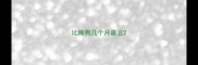 比熊狗几个月最丑