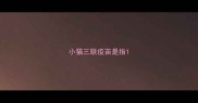 小猫三联疫苗是指
