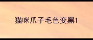 猫咪爪子毛色变黑