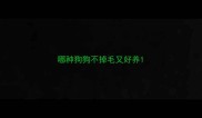 哪种狗狗不掉毛又好养