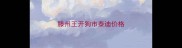 滕州王开狗市泰迪价格