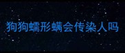 狗狗蠕形螨会传染人吗