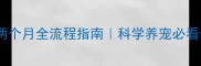 边牧幼犬喂养两个月全流程指南科学养宠必看干货大公开