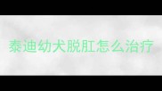 泰迪幼犬脱肛怎么治疗