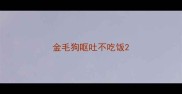 金毛狗呕吐不吃饭