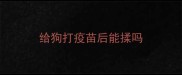 给狗打疫苗后能揉吗