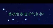 香槟色泰迪洋气名字