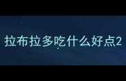 拉布拉多吃什么好点