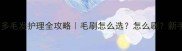 拉布拉多毛发护理全攻略毛刷怎么选怎么刷新手必看