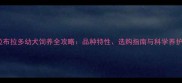 黑背拉布拉多幼犬饲养全攻略品种特性选购指南与科学养护指南