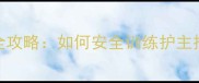 拉布拉多攻击性训练全攻略如何安全训练护主技能与家庭防护技巧