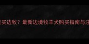 北京哪里买边牧最新边境牧羊犬购买指南与注意事项