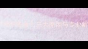 罗汉鱼一个月不吃食三大原因与专业解决方案全