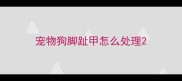 宠物狗脚趾甲怎么处理