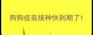 狗狗疫苗接种快到期了