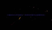 小猫咪多大开始驱虫科学时间表与注意事项全