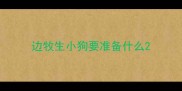 边牧生小狗要准备什么