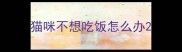 猫咪不想吃饭怎么办