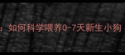 7天存活率翻倍新手必看如何科学喂养0-7天新生小狗附温度营养护理全攻略