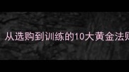 金毛寻回犬饲养全攻略从选购到训练的10大黄金法则附俱乐部领养指南